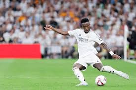 尔西提供了 尔西提供了